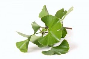 Ginkgo biloba para agrandar o pene